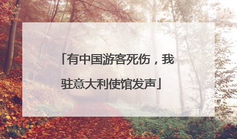 有中国游客死伤，我驻意大利使馆发声