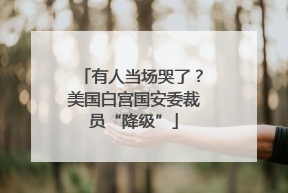 有人当场哭了？美国白宫国安委裁员“降级”