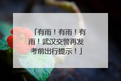 有雨！有雨！有雨！武汉交警再发考前出行提示！
