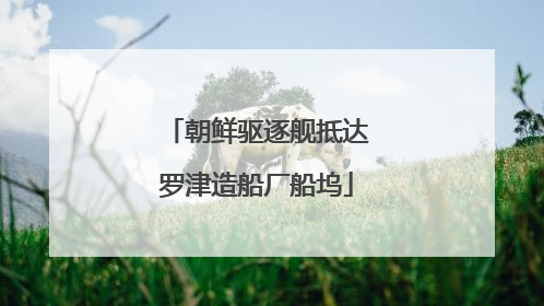朝鲜驱逐舰抵达罗津造船厂船坞