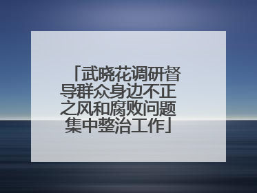 武晓花调研督导群众身边不正之风和腐败问题集中整治工作