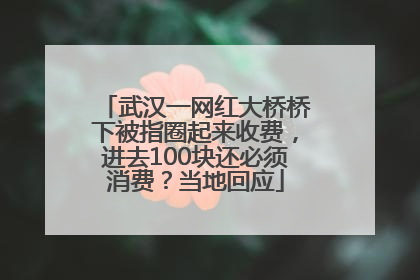 武汉一网红大桥桥下被指圈起来收费，进去100块还必须消费？当地回应