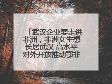 武汉企业要走进非洲，非洲女生想长居武汉 高水平对外开放推动鄂非双向奔赴