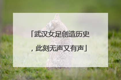 武汉女足创造历史，此刻无声又有声