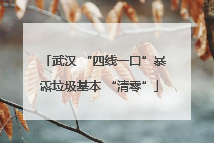 武汉 “四线一口”暴露垃圾基本 “清零”