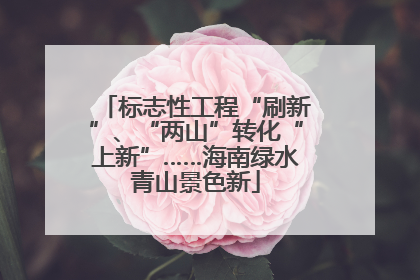 标志性工程“刷新”、“两山”转化“上新”……海南绿水青山景色新