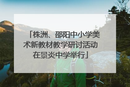株洲、邵阳中小学美术新教材教学研讨活动在景炎中学举行