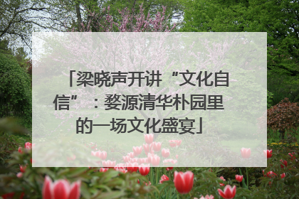 梁晓声开讲“文化自信”：婺源清华朴园里的一场文化盛宴