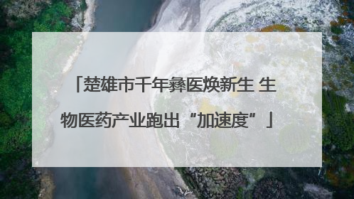 楚雄市千年彝医焕新生 生物医药产业跑出“加速度”