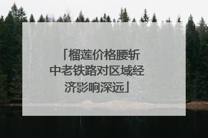榴莲价格腰斩 中老铁路对区域经济影响深远