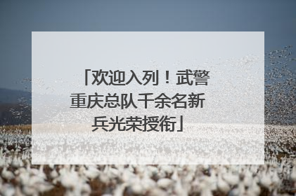 欢迎入列！武警重庆总队千余名新兵光荣授衔