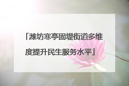 潍坊寒亭固堤街道多维度提升民生服务水平