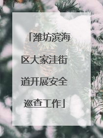 潍坊滨海区大家洼街道开展安全巡查工作