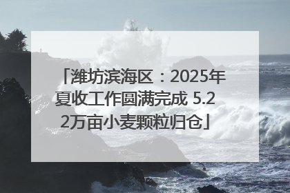 潍坊滨海区：2025年夏收工作圆满完成 5.22万亩小麦颗粒归仓