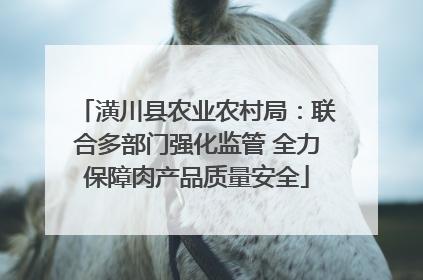 潢川县农业农村局：联合多部门强化监管 全力保障肉产品质量安全
