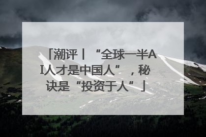 潮评丨“全球一半AI人才是中国人”，秘诀是“投资于人”