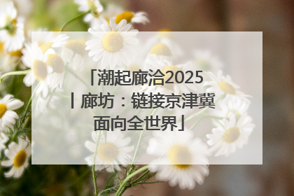 潮起廊洽2025丨廊坊：链接京津冀 面向全世界