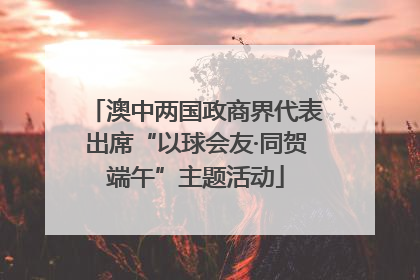 澳中两国政商界代表出席“以球会友·同贺端午”主题活动