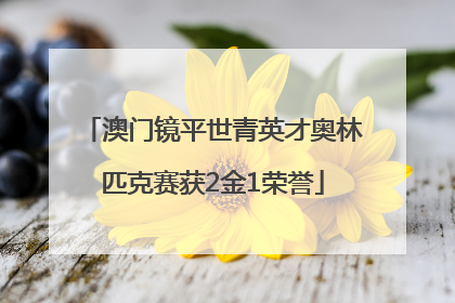 澳门镜平世青英才奥林匹克赛获2金1荣誉