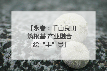 永春：千亩良田筑根基 产业融合绘“丰”景