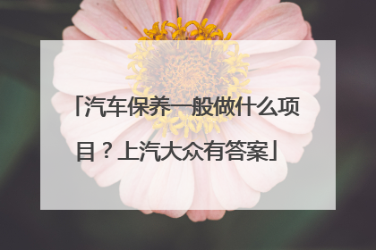 汽车保养一般做什么项目？上汽大众有答案