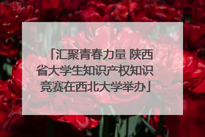汇聚青春力量 陕西省大学生知识产权知识竞赛在西北大学举办