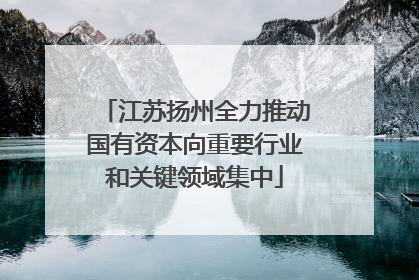 江苏扬州全力推动国有资本向重要行业和关键领域集中