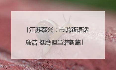 江苏泰兴：市说新语话廉洁 挺膺担当谱新篇