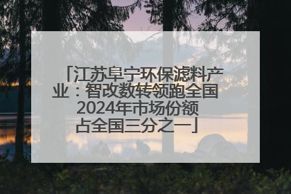 江苏阜宁环保滤料产业：智改数转领跑全国 2024年市场份额占全国三分之一