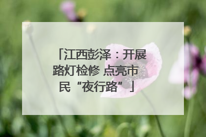 江西彭泽：开展路灯检修 点亮市民“夜行路”