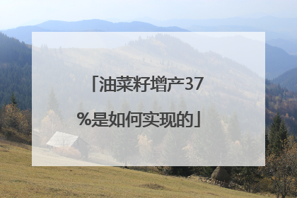 油菜籽增产37%是如何实现的