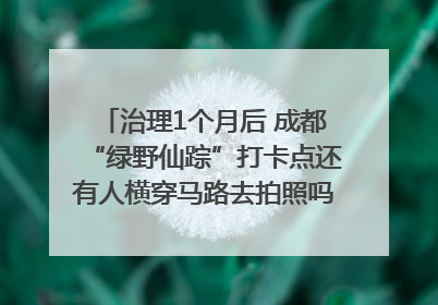 治理1个月后 成都“绿野仙踪”打卡点还有人横穿马路去拍照吗？｜民情瞭望