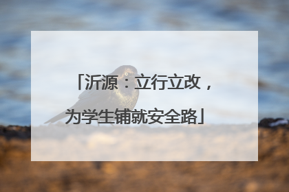 沂源：立行立改，为学生铺就安全路