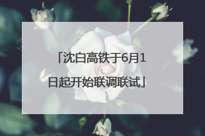 沈白高铁于6月1日起开始联调联试