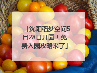 沈阳稻梦空间5月28日开园！免费入园攻略来了