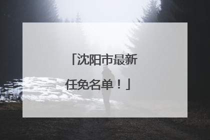 沈阳市最新任免名单！