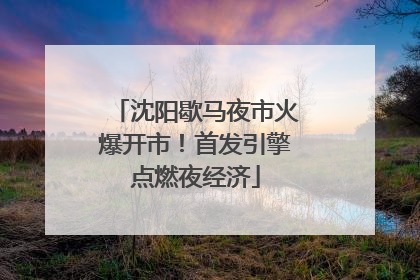 沈阳歇马夜市火爆开市！首发引擎点燃夜经济