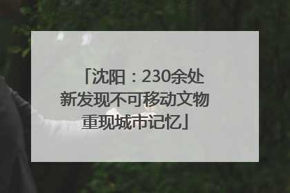 沈阳：230余处新发现不可移动文物重现城市记忆