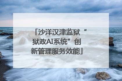 沙洋汉津监狱“狱政AI系统”创新管理服务效能