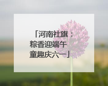 河南社旗：粽香迎端午 童趣庆六一