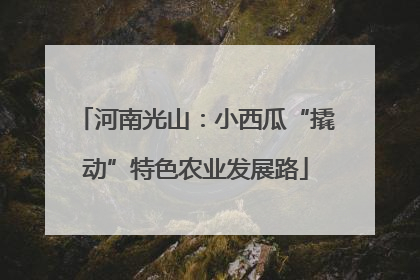 河南光山：小西瓜“撬动”特色农业发展路