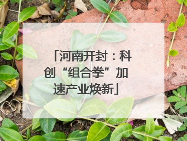 河南开封：科创“组合拳”加速产业焕新