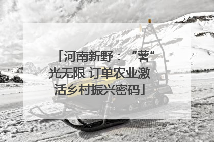 河南新野：“薯”光无限 订单农业激活乡村振兴密码