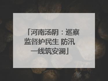 河南汤阴：巡察监督护民生 防汛一线筑安澜