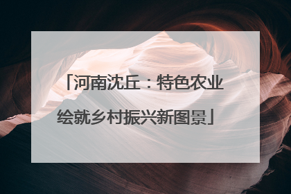 河南沈丘：特色农业绘就乡村振兴新图景