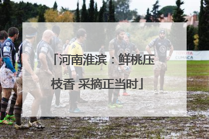 河南淮滨：鲜桃压枝香 采摘正当时