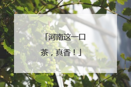 河南这一口茶，真香！