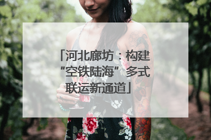 河北廊坊：构建“空铁陆海”多式联运新通道
