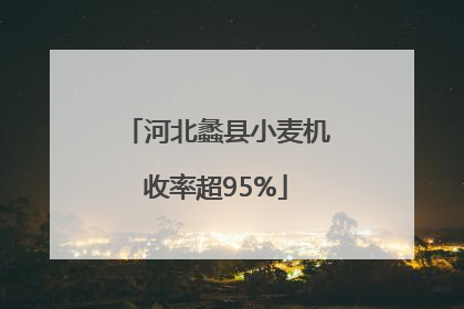 河北蠡县小麦机收率超95%