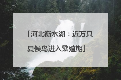 河北衡水湖：近万只夏候鸟进入繁殖期